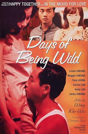 Days of Being Wild (1990)
