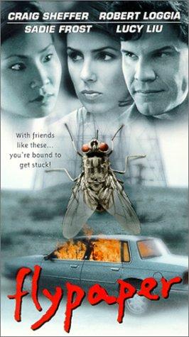 Flypaper (1999)