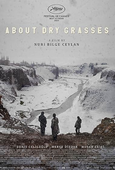 About Dry Grasses (2024)