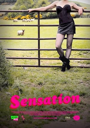 Sensation (2010)